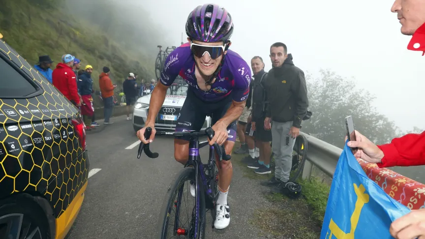 Pelayo Sánchez