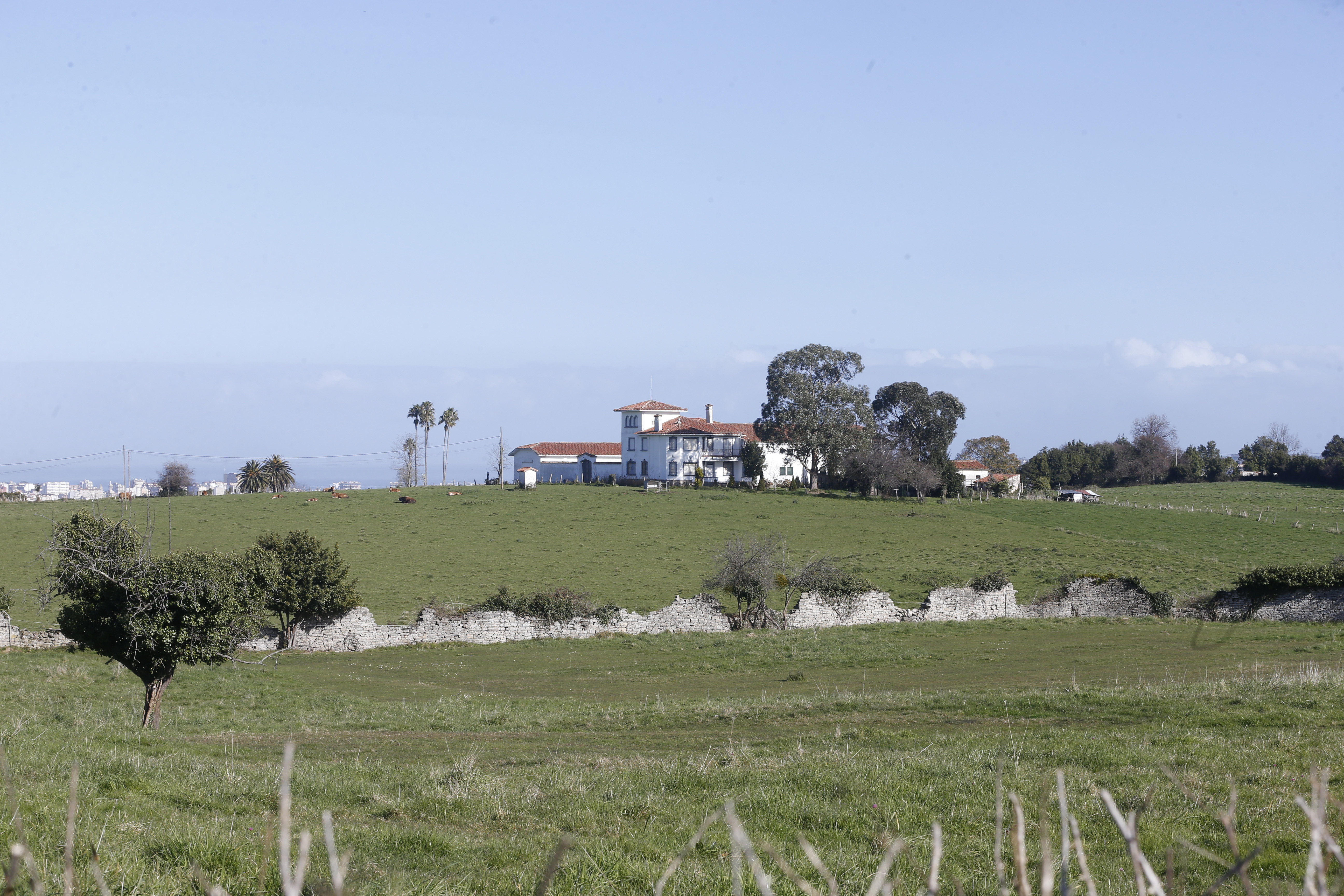 Finca de las Palmeras