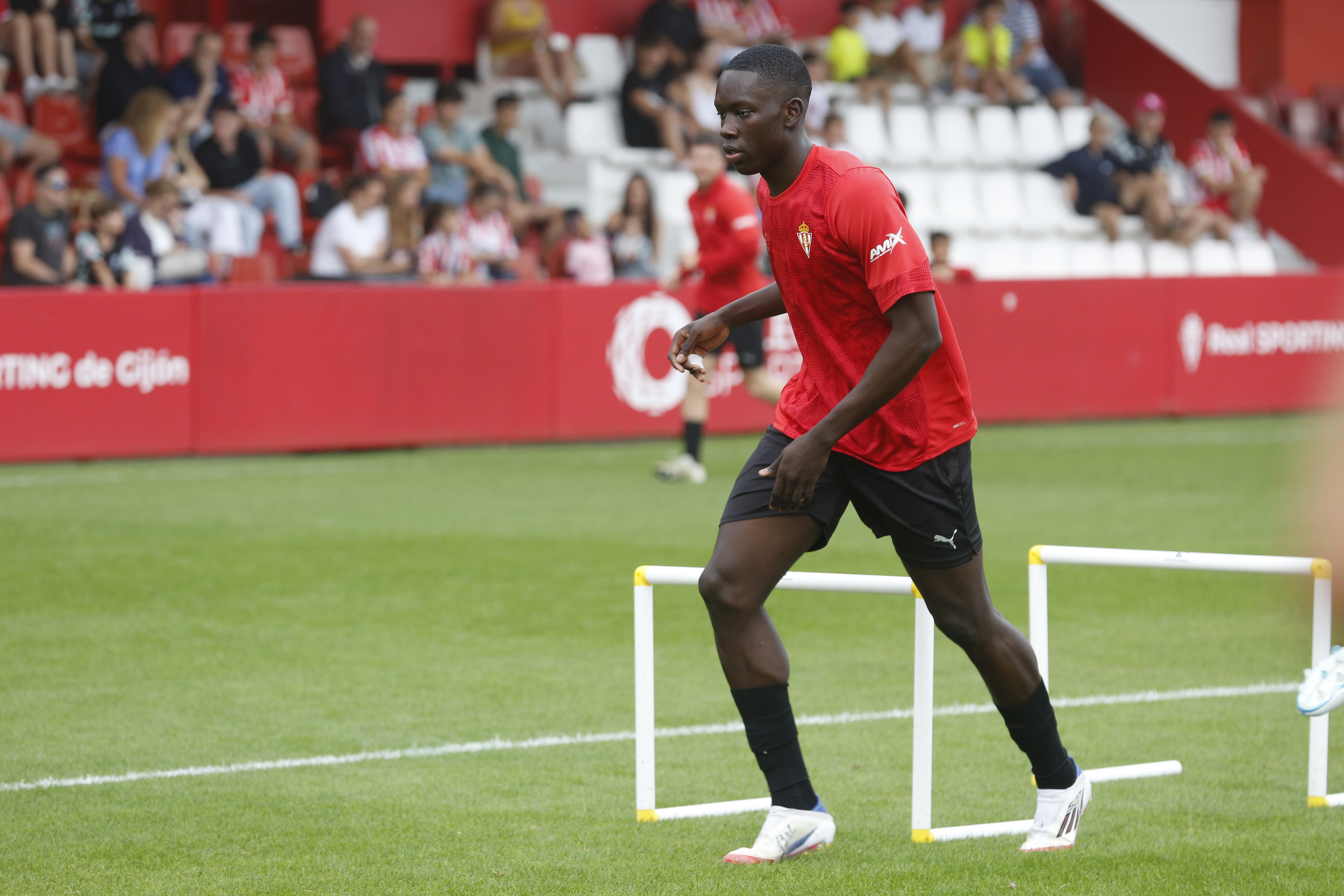 Amadou