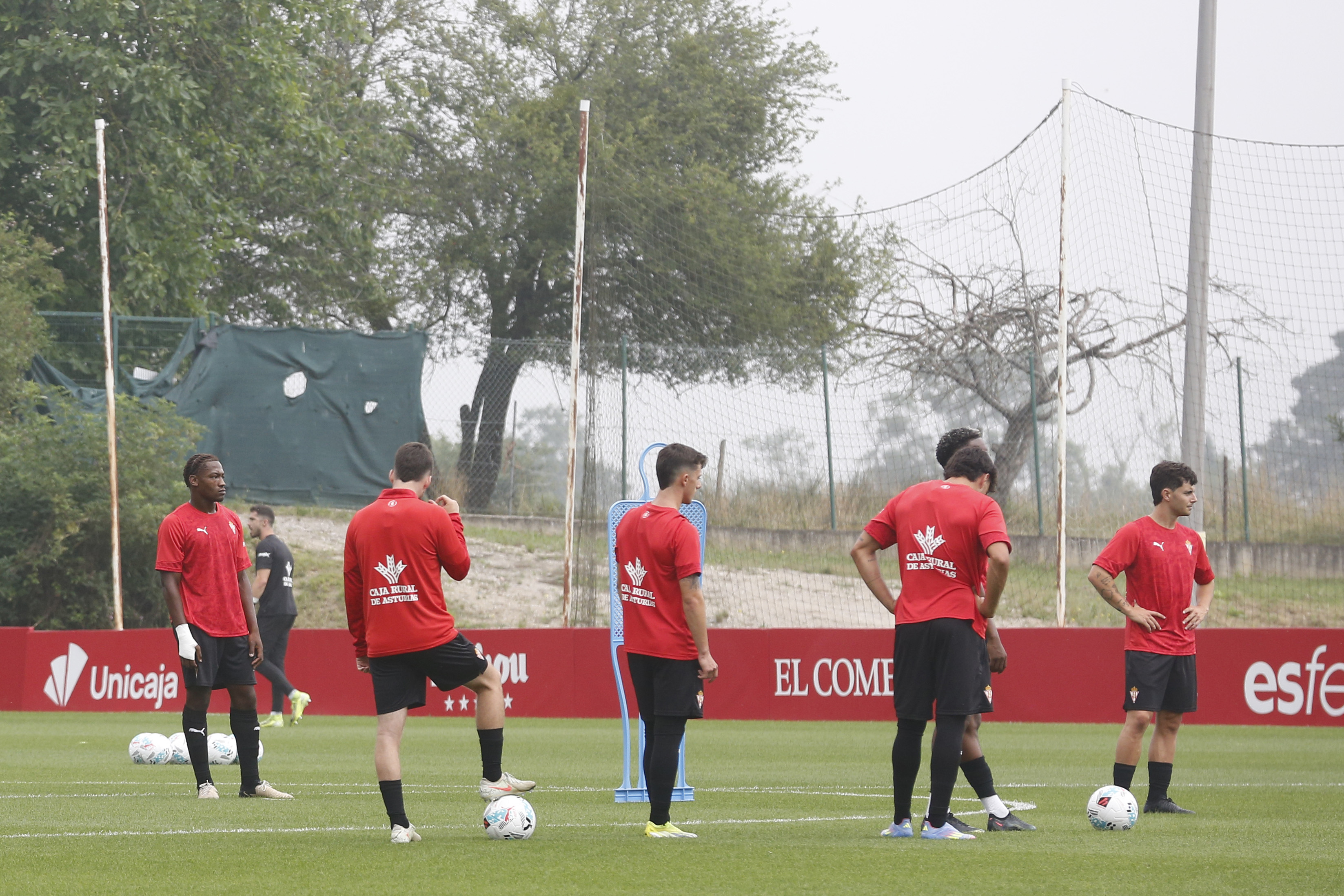 Sporting