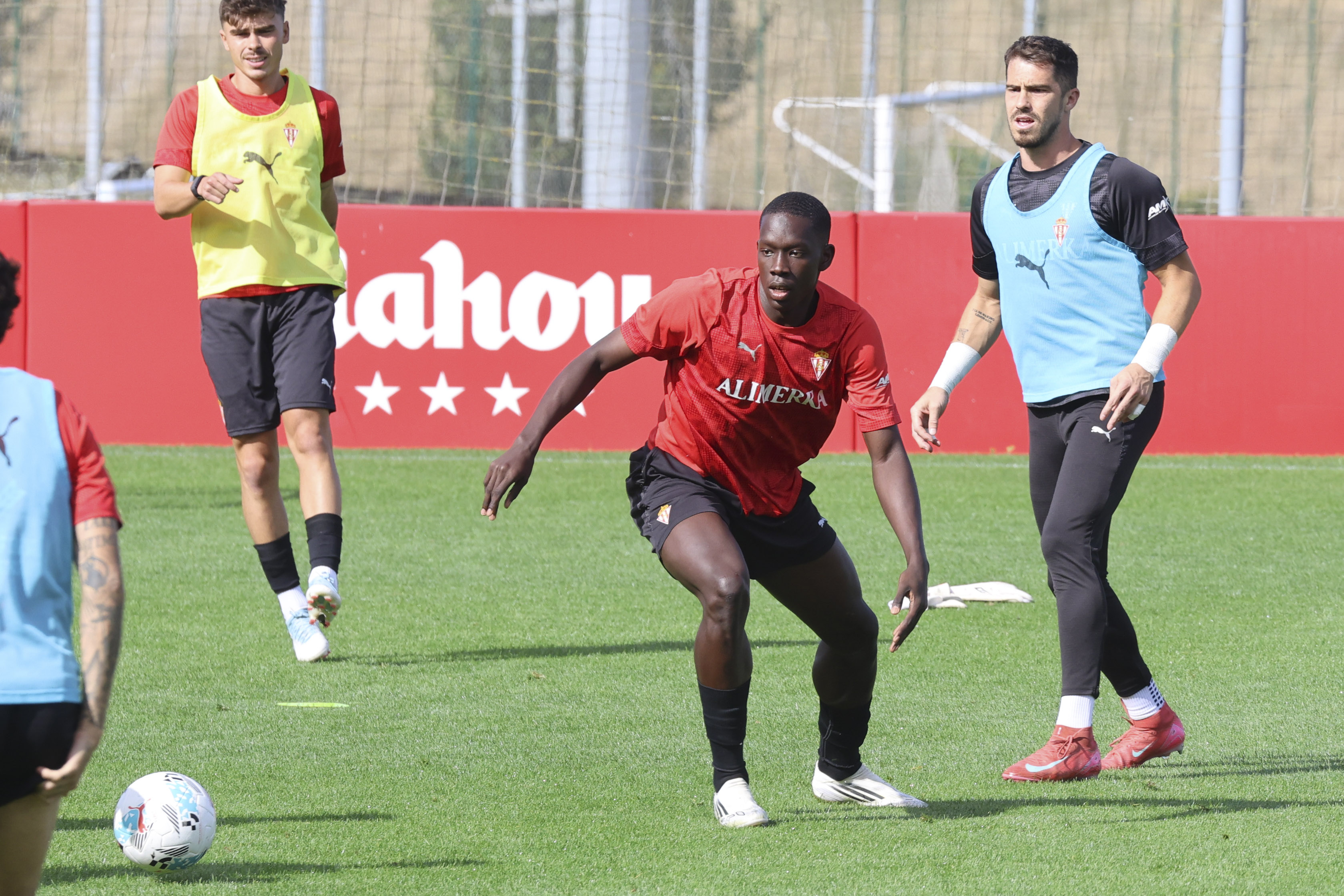 Amadou