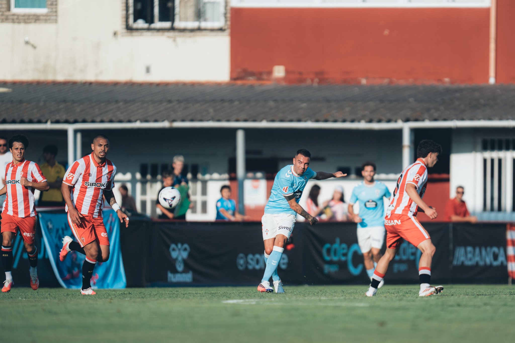 Celta 