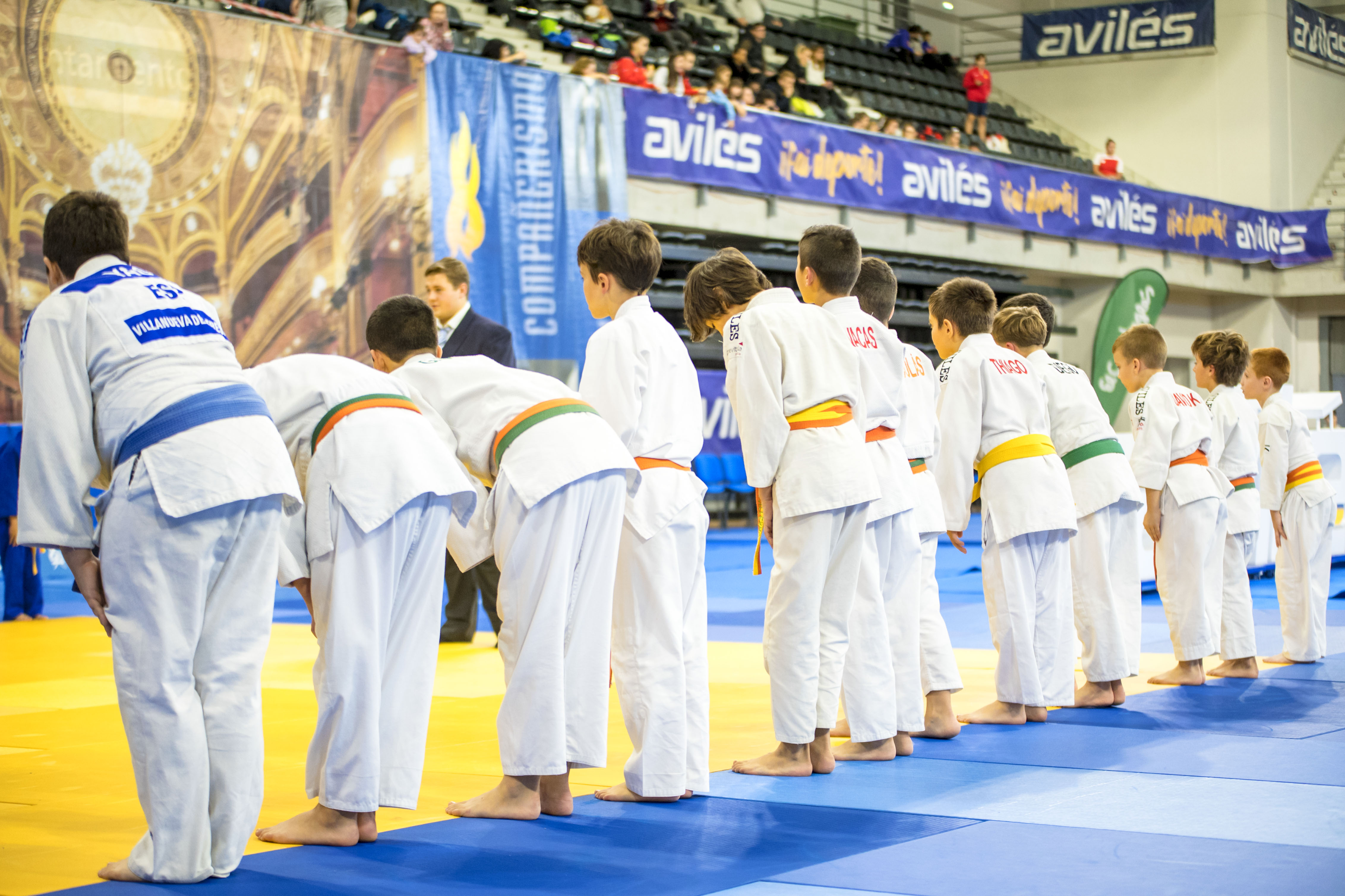 judo