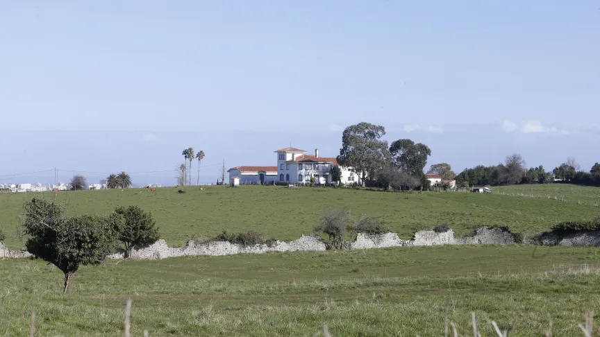 Finca de las Palmeras