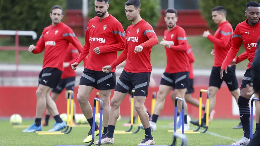 Insua Cali Diego