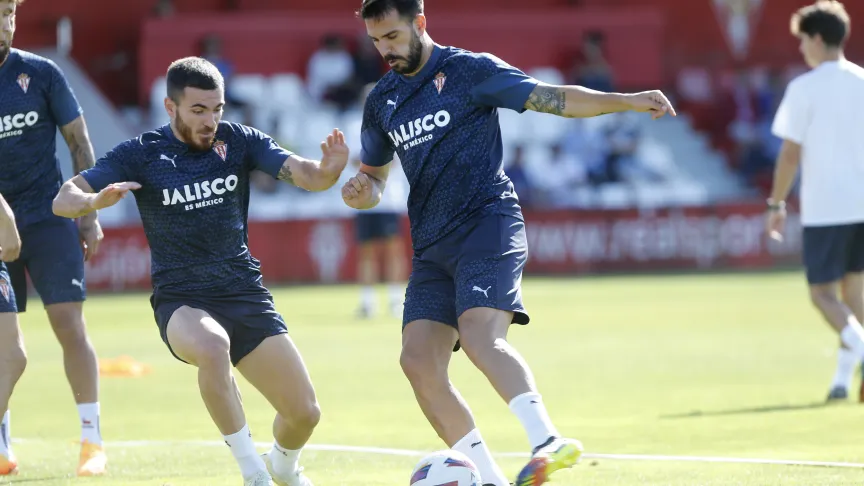 Insua