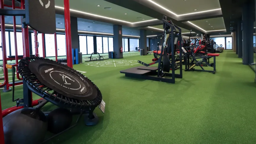 GIMNASIO MAREO 2