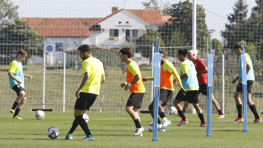 Sporting