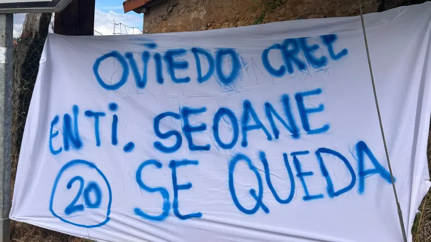 Seoane Pancarta